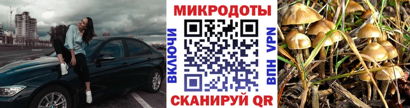 Псилоцибиновые грибы мухоморы  МЕГА ССЫЛКА  Апшеронск 